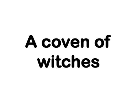 From Coven to Collective: Evolution of Witch Terminology